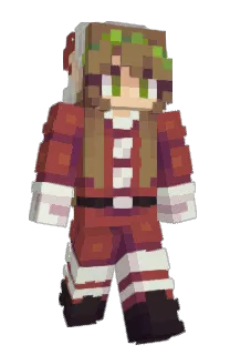 Front of RinElf's skin