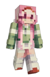 Front of 9houlish's skin