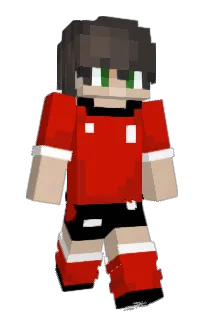 Front of EinNetro's skin