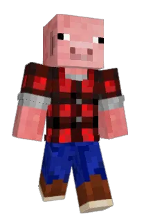 Front of Minecraft skin