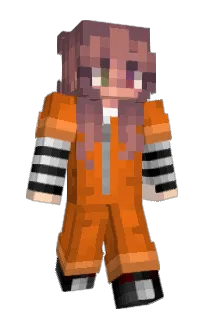 Front of OLLKer's skin