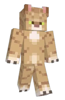 Front of jaes000n's skin