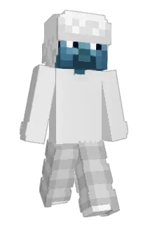 331O Minecraft avatar full body