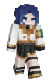 Skin preview