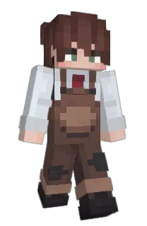 Front of perseiids's skin