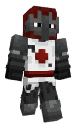 Minecraft skin — Classic model
