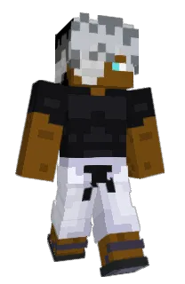 Front of odecakes's skin