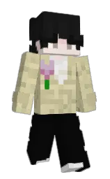 cod gray and akaroa Minecraft skin — Slim model — first worn by Colren