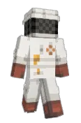 MulticoloredBee