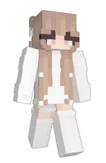 raidermc's Minecraft skin