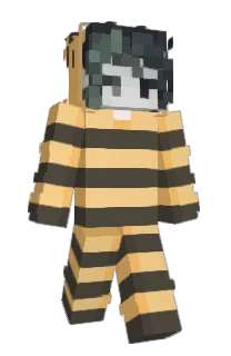Front of worjx's skin