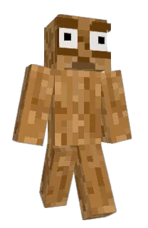 webh2344's Minecraft skin