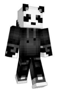 Front of iRods's skin