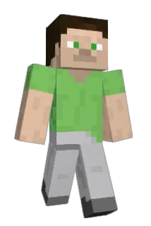 33_Life Minecraft avatar full body