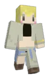 33_na3 Minecraft avatar full body