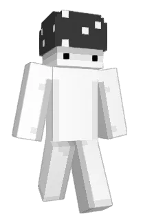 Front of leisil's skin