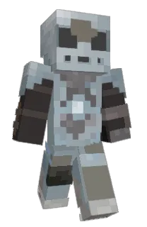 Front of Minecraft skin