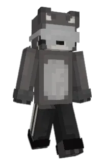 Front of r3flex's skin