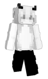 black and white Minecraft skin — Slim model — first worn by ItzSkyNooB