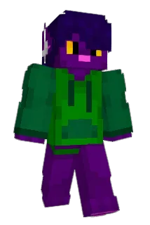 33bumbleB Minecraft avatar full body