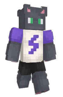 Front of VEEKIL's skin