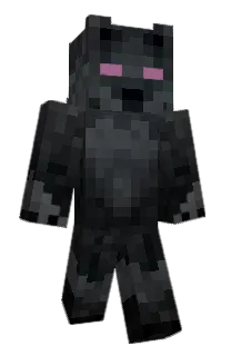 Front of DiogoTam's skin
