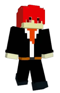 Front of GIMCONE's skin
