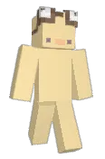 FlopFlup