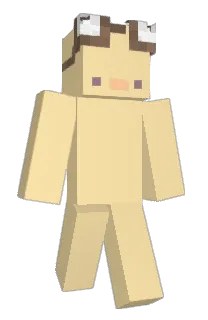 Front of Minecraft skin