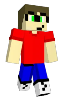 Front of DolphinCube_'s skin