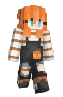 Front of tinkerary's skin