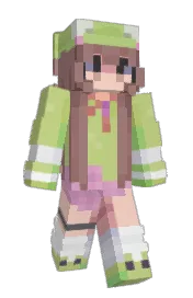 Skin preview