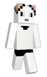 Minecraft skin — Classic model
