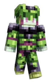 Skin preview