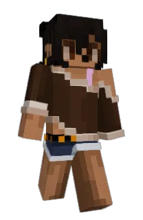 Front of Llamey's skin