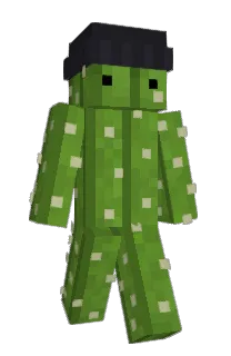 Front of Edw_ng's skin