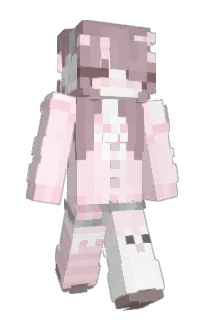 Front of wholedream's skin