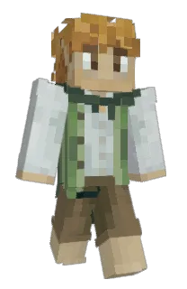 liamskikow's Minecraft skin
