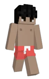 Minecraft skin — Slim model