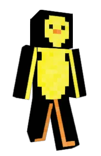 Front of lChoyl's skin