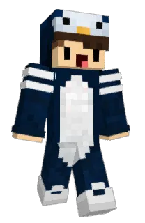 Front of Flenmat's skin