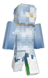 Minecraft skin — Classic model