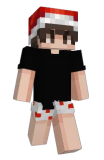 Front of looneyleo's skin