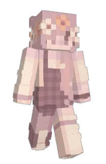 Front of Minecraft skin