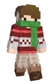 Front of Tominz's skin