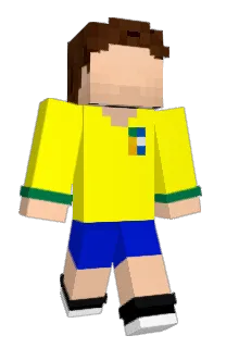 Front of petinatti's skin