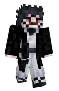 Front of PXIHS's skin