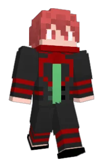 Front of DiaReD's skin