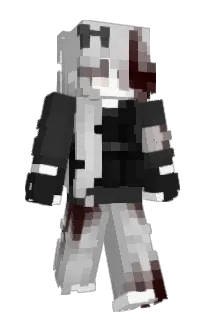 Front of sideplot's skin