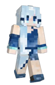 Skin preview
